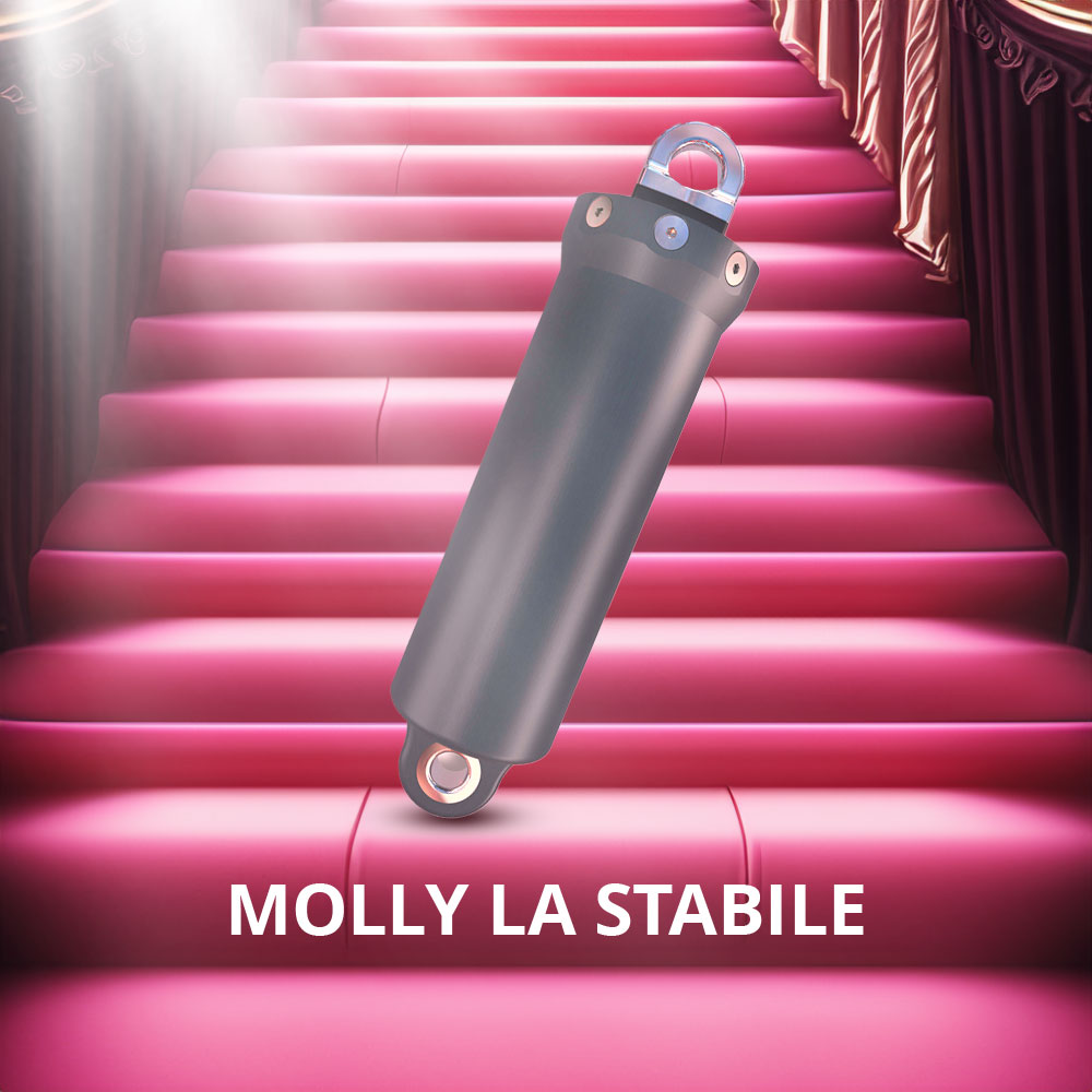 SF25 - Molly La Stabile
